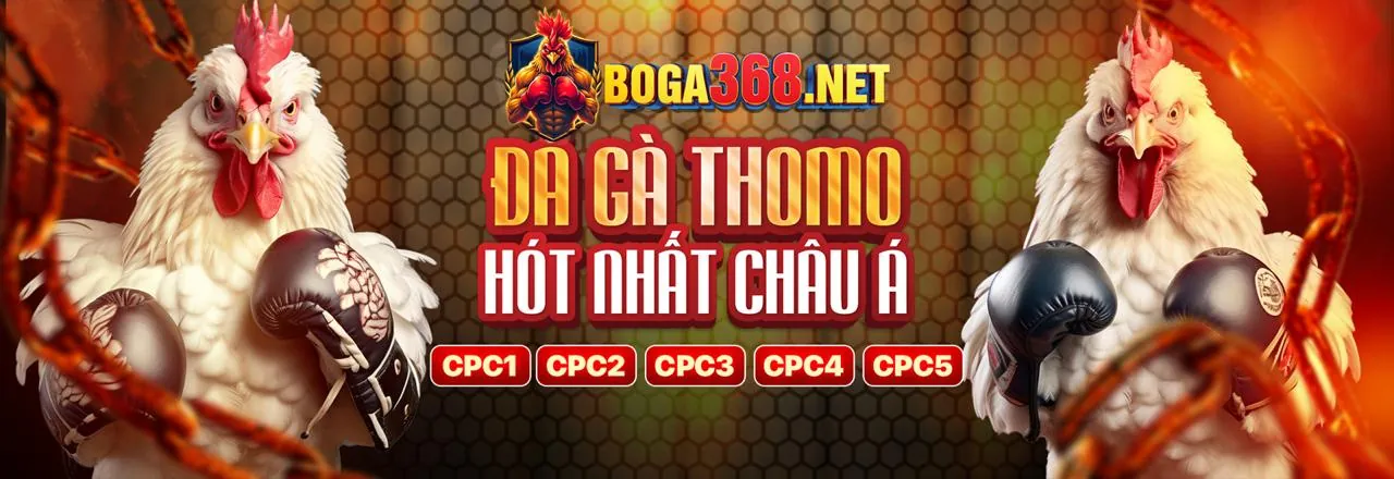 Hình ảnh giới thiệu về đang nhap win55
