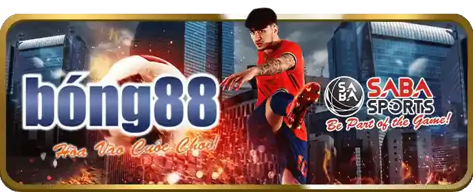 Truy cập nhanh chóng